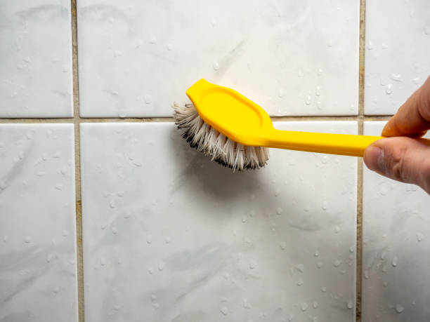 Best Attic Mold Removal  in Inez, TX