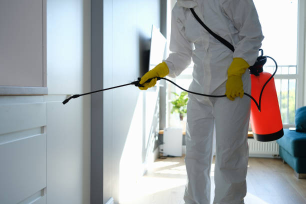 Mold Removal and Inspection in Inez, TX