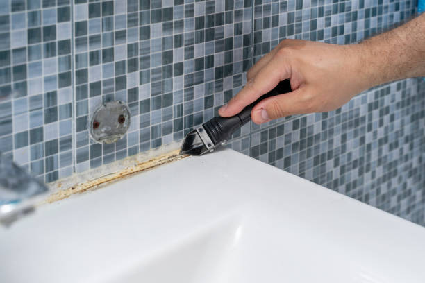 Best Same-Day Mold Removal  in Inez, TX