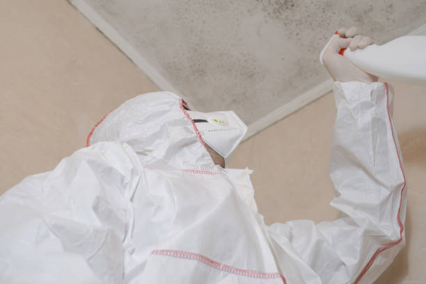 Best Certified Mold Removal  in Inez, TX